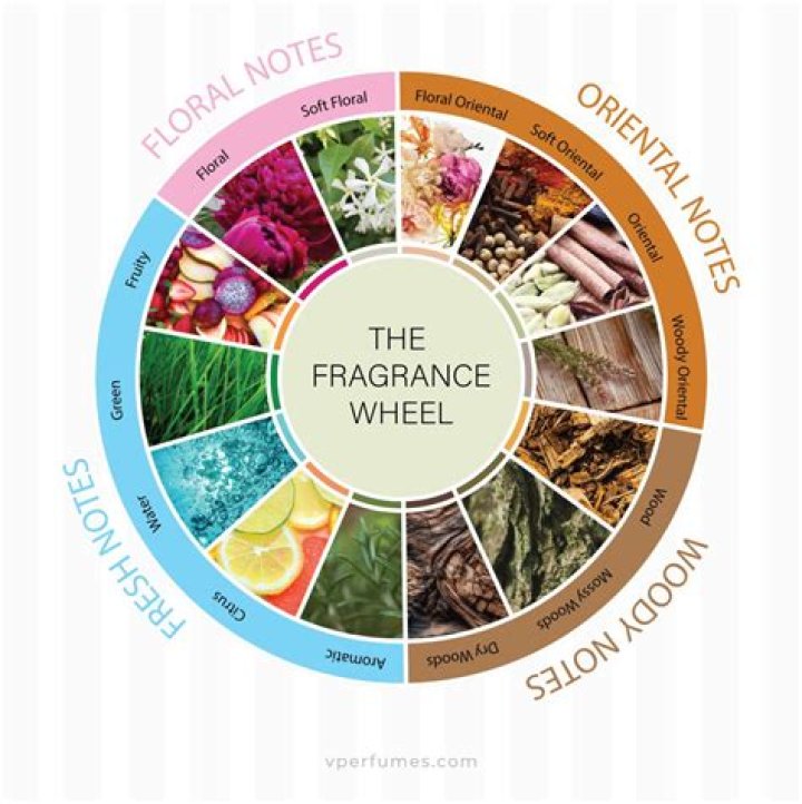 Discover The Enchanting Jasmine Flowers: A Guide To Fragrance And Beauty